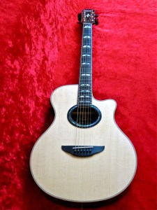 Yamaha APX1200 – beauty