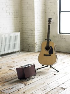 ac-33-rw_room_guitar_gal