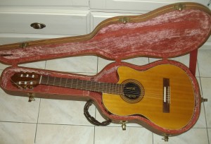 Gibson Chet Atkins CEC