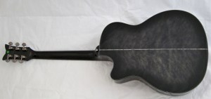 Schecter Hellraiser Studio Acoustic – full back