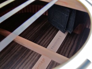 Tanglewood TW1000HSRE – battery pouch