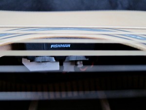 Tanglewood TW1000HSRE – Fishman Sonitone