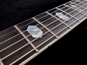 Tanglewood TW1000HSRE – fretboard