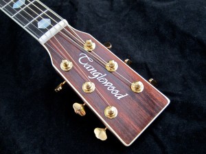 Tanglewood TW1000HSRE – headstock