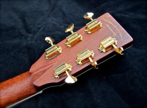 Tanglewood TW1000HSRE – teaser