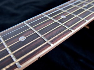 Tanglewood TW28-CLN + Woody – fretboard