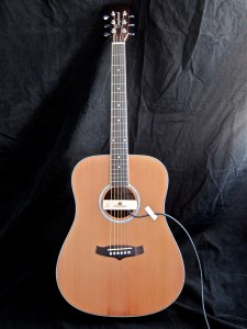 Tanglewood TW28-CLN + Woody – full front 2