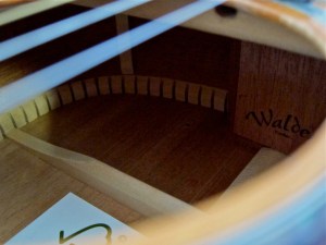 Walden CD4040-CERT – kerfing + neck block