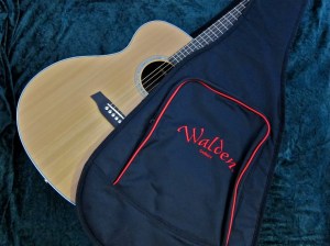 Walden G630CE – gigbag