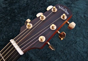 Walden G630CE – headstock