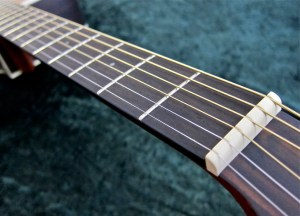 Walden G630CE – nut + frets