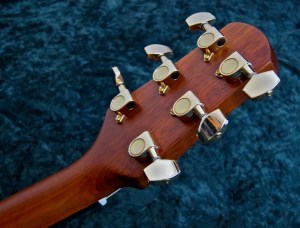 Walden G630CE – tuners