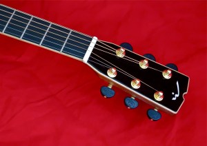 Mannedesign RDV – headstock