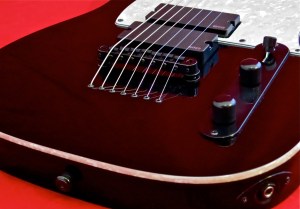 ESP LTD SCT-607B – bridge