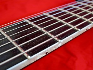 ESP LTD SCT-607B – fretboard