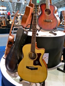 Tanglewood Premier TW170ASCE