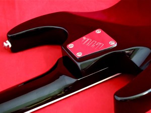 LTD SC-337 – neck plate