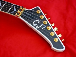 Concorde 5-Star – headstock