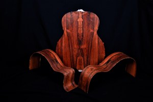 AJL-Guitars – back and rim sample