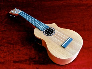 Tanglewood TU-1CE – beauty shot 2