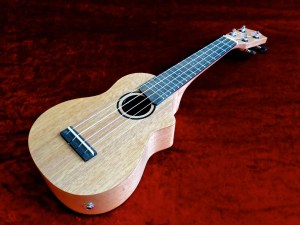 Tanglewood TU-1CE – beauty shot