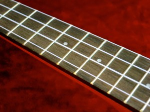 Tanglewood TU-1CE – frets