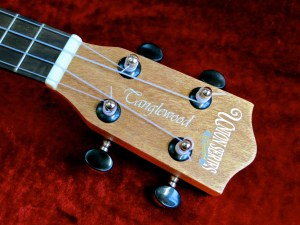 Tanglewood TU-1CE – headstock