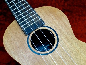 Tanglewood TU-3 – soundhole