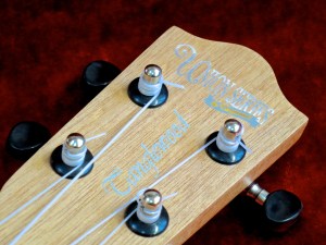 Tanglewood TU-3E – headstock VID