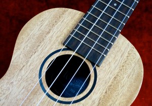 Tanglewood TU-3E – rosette VID