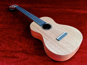 Tanglewood TU-5 – beauty shot VID