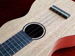 Tanglewood TU-5 – bridge + rosette VID