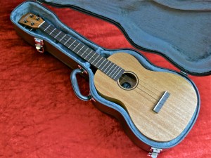 Tanglewood TU-5 – case vs2