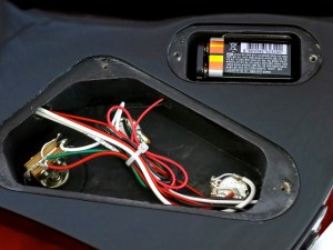 LTD Hetfield Snakebyte – control cavity