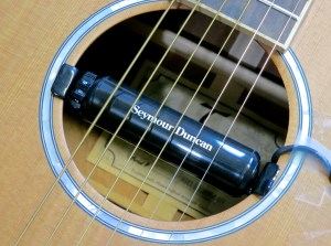 Seymour Duncan SA-1 + Tanglewood TW28-CSN