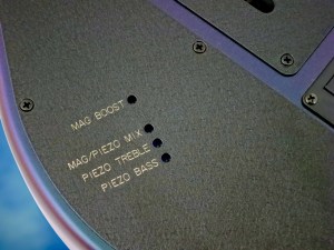 Music Man Majesty – trim pots