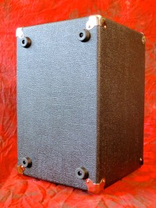 Carvin MB10 Micro Bass – back view