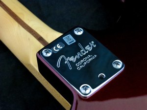 Fender Am Std Stratocaster HSS Shawbucker – neck plate