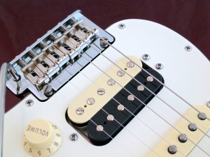 Fender Am Std Stratocaster HSS Shawbucker – The Shawbucker