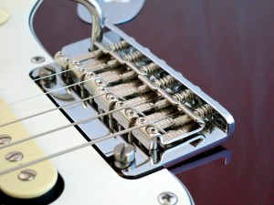 Fender Am Std Stratocaster HSS Shawbucker – vibrato