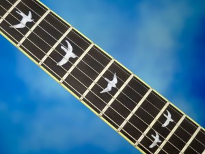 PRS SE Custom 24 30th Ann – bird inlays