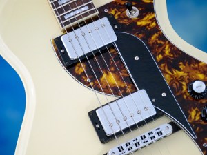 Rautia Guitars Dual Tone Style – pickups
