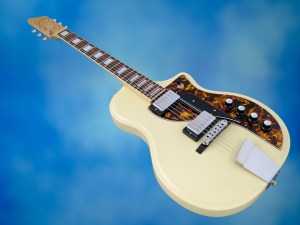 Rautia Guitars Dual Tone Style – beauty shot 2