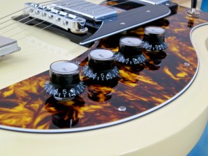 Rautia Guitars Dual Tone Style – controls