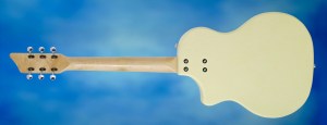 Rautia Guitars Dual Tone Style – full back 2