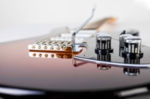 Variax Standard Guitar