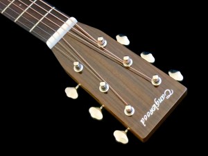 Tanglewood TW40D-AN-E – headstock