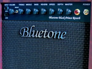 Bluetone Black Prince Reverb – control panel