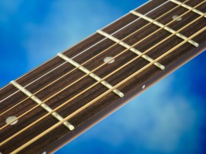 Farida B-10E – fretboard