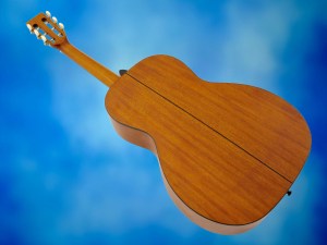 Farida M-2NS – back beauty